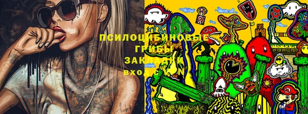 ECSTASY Лихославль