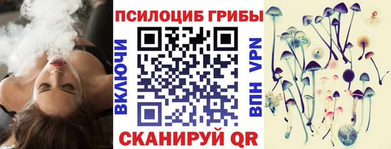 Купить где  Зеленоградск  Галлюциногенные грибы прущие грибы 